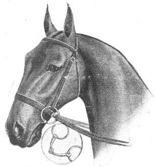 DOUBLE REIN SNAFFLE  BRIDLE, with
Flat Ring Bridoon Bit